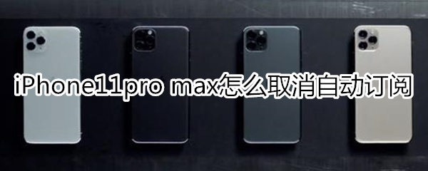 iPhone11pro max怎么取消自动订阅