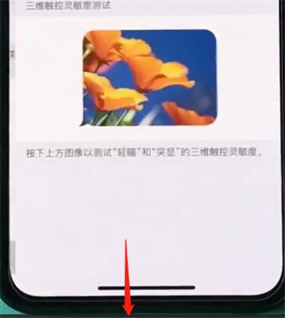 iPhoneXs Max怎么开启半屏功能