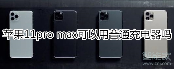 蘋果11pro max可以用普通充電器嗎