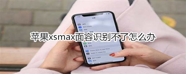 蘋果xsmax面容識別不了怎么辦