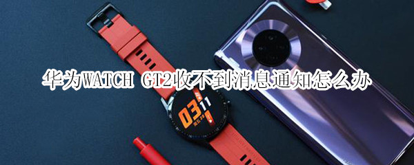 華為WATCH GT2收不到消息通知怎么辦