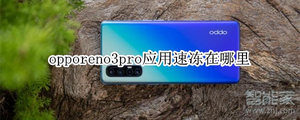 opporeno3pro應(yīng)用速凍在哪里