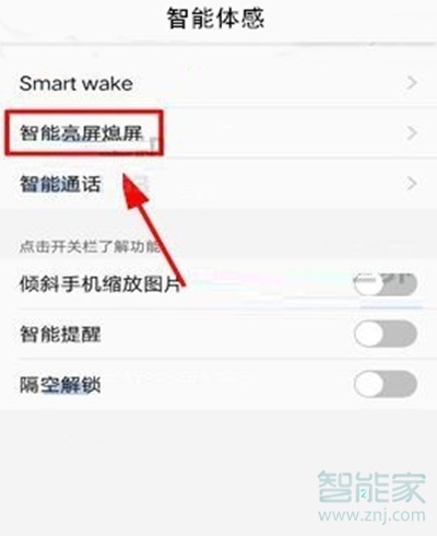 vivoz5怎么設置抬手亮屏