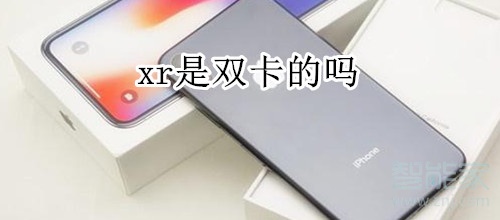 xr是双卡的吗