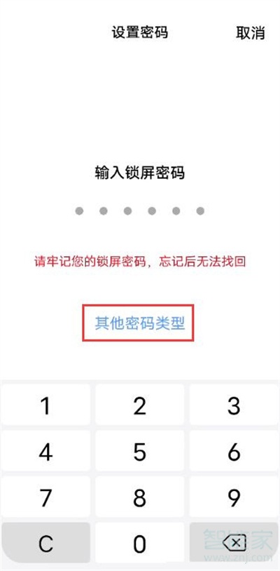 iqooneo5活力版怎么設(shè)置鎖屏密碼