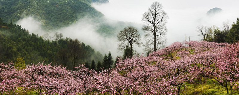 桃花溪的诗意 桃花溪表达了什么