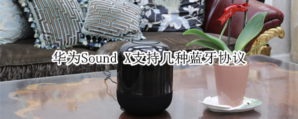 華為Sound X支持幾種藍牙協(xié)議