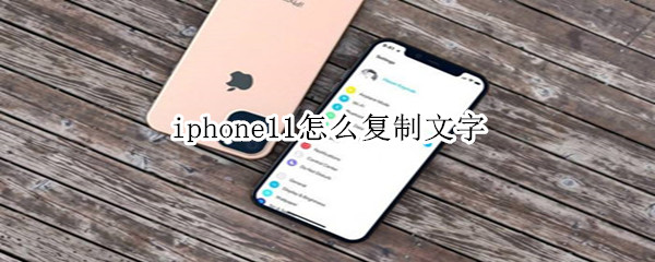 iphone11怎么复制文字