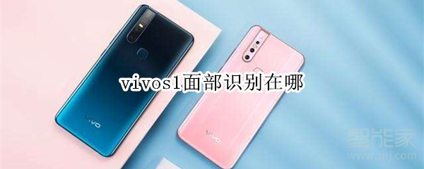 vivos1面部識別在哪