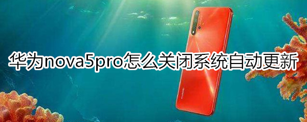 华为nova5pro怎么关闭系统自动更新