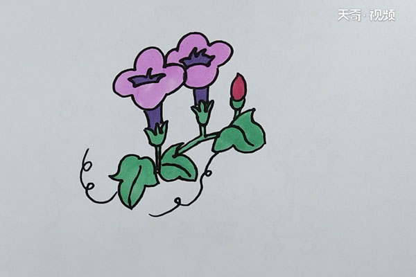 牵牛花简笔画