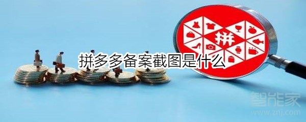 拼多多备案截图是什么