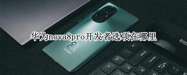 華為nova8pro開發(fā)者選項在哪里