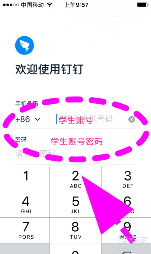 钉钉如何领取学生号