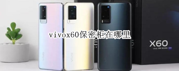 vivox60保密柜在哪里