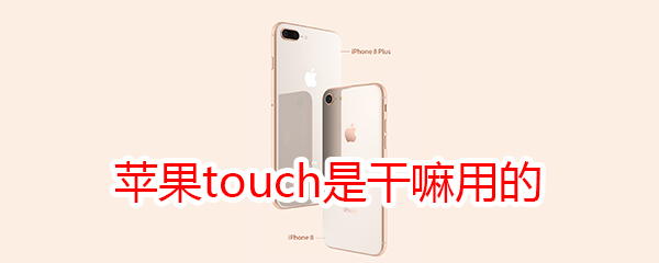 蘋果touch是干嘛用的