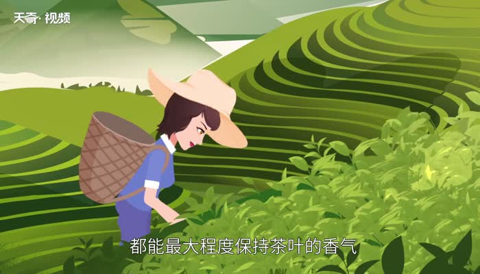 秋茶是什么意思 秋茶是什么