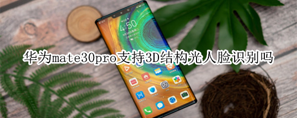 華為mate30pro支持3D結(jié)構(gòu)光人臉識(shí)別嗎