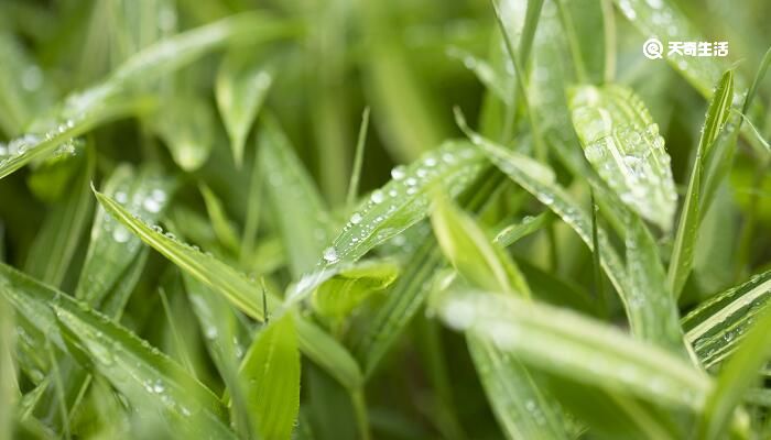 一場秋雨一場寒的下一句 一場秋雨一場寒的下一句是什么