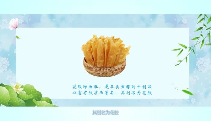 花胶是什么 花胶是鱼的哪里