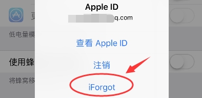 ipad下载密码忘记了怎么办啊