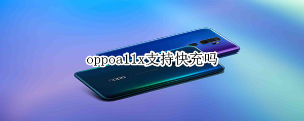 oppoa11x支持快充吗