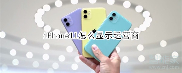 iPhone11怎么顯示運(yùn)營商