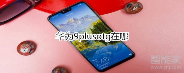 華為9plusotg在哪