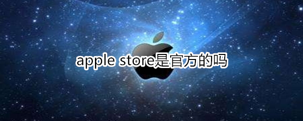 apple store是官方的吗