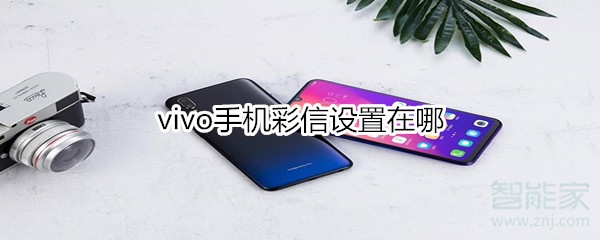 vivo手机彩信设置在哪