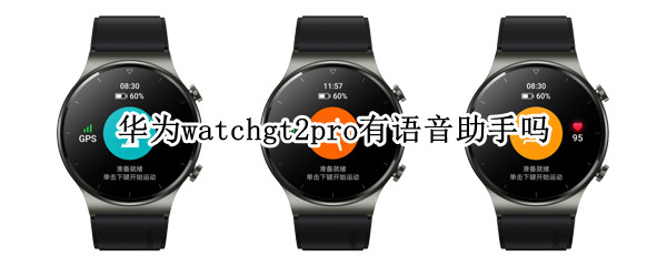 華為watchgt2pro支持語音助手嗎