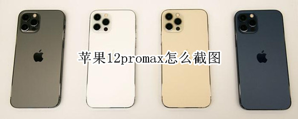 苹果12promax怎么截图