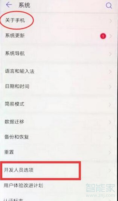 華為麥芒8開發(fā)人員選項(xiàng)在哪