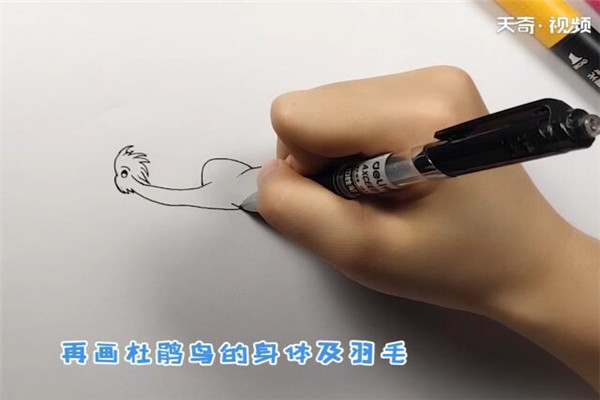 杜鹃鸟简笔画