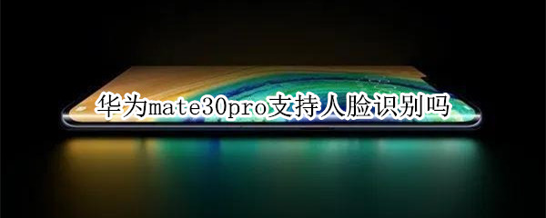 華為mate30pro支持人臉識別嗎