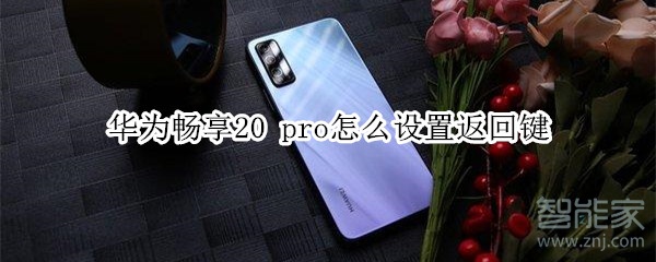 华为畅享20 pro怎么设置返回键