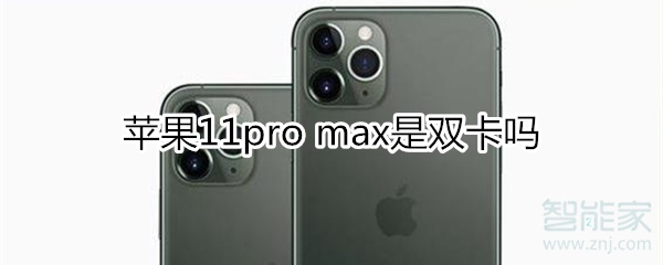 苹果11pro max是双卡吗