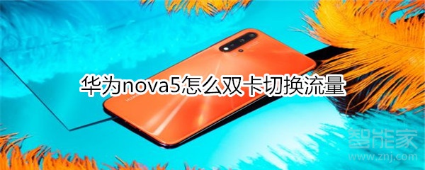 华为nova5怎么双卡切换流量