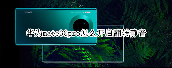 華為mate30pro怎么開啟翻轉(zhuǎn)靜音