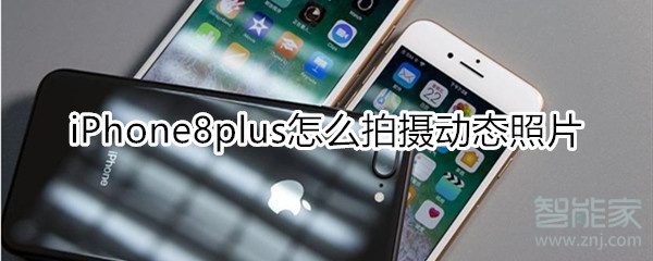 iPhone8plus怎么拍摄动态照片