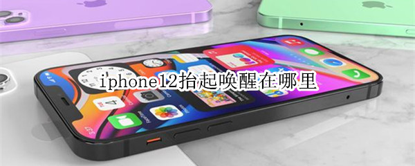 iphone12抬起唤醒在哪里