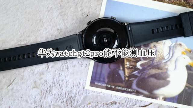 华为watchgt2pro能不能测血压