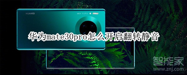 華為mate30pro怎么開啟翻轉(zhuǎn)靜音