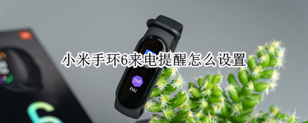 小米手環(huán)6來(lái)電提醒怎么設(shè)置