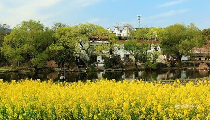 乡村振兴宣传标语 有哪些农村宣传语