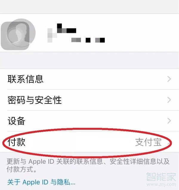 蘋果付款方式設(shè)置打不開