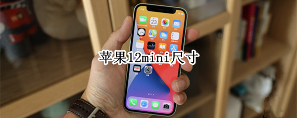 蘋果12mini尺寸