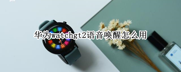 华为watchgt2语音唤醒怎么用