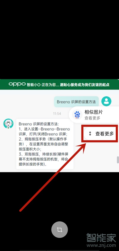 opporeno5pro怎么提取文字