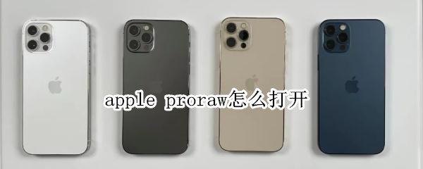 apple proraw怎么打開(kāi)